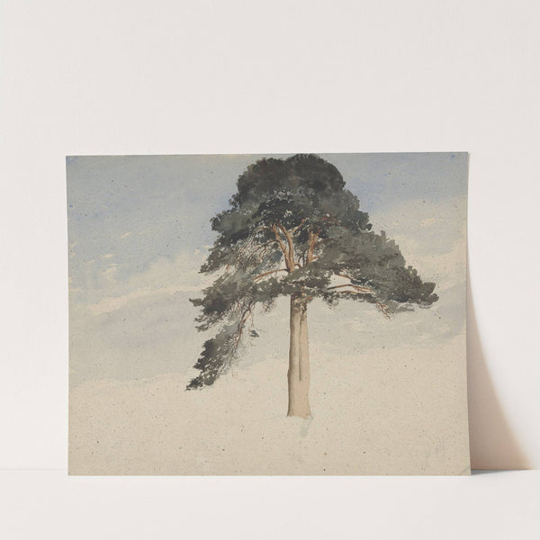 Scottish Pine Tree by William Leighton Leitch