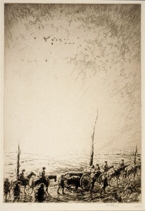 Scout Planes at Dawn