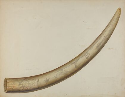 Scrimshaw – Walrus Tusk (1941)
