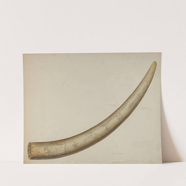 Scrimshaw – Walrus Tusk (1941) by Oscar Bluhme