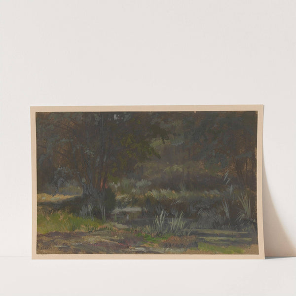 Scrub by the River Barycz (1850-1881) by Adolf Dressler