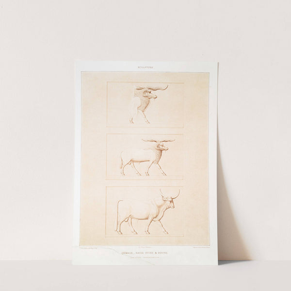 Sculpture; animaux - races ovine & bovine (Musée du Kaire - grandeur d'exécution) by Émile Prisse d'Avennes