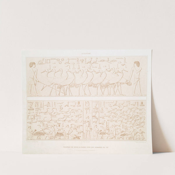 Sculpture; troupeau de grues & basse-cour des domaines de Teï (nécropole de Memphis - Ve. dynastie) by Émile Prisse d'Avennes