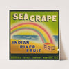 Sea Grape Citrus Label (1930s)