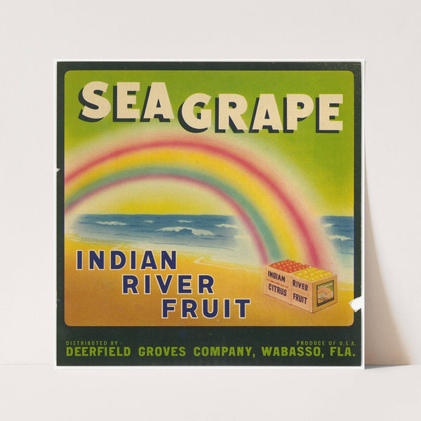 Sea Grape Citrus Label (1930s)