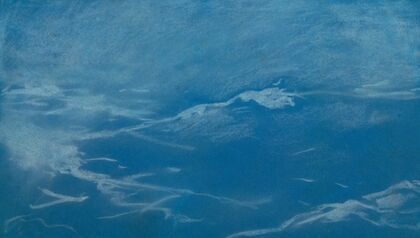 Seagull And Waves, Probably Prout’s Neck, Maine (1890–1900)