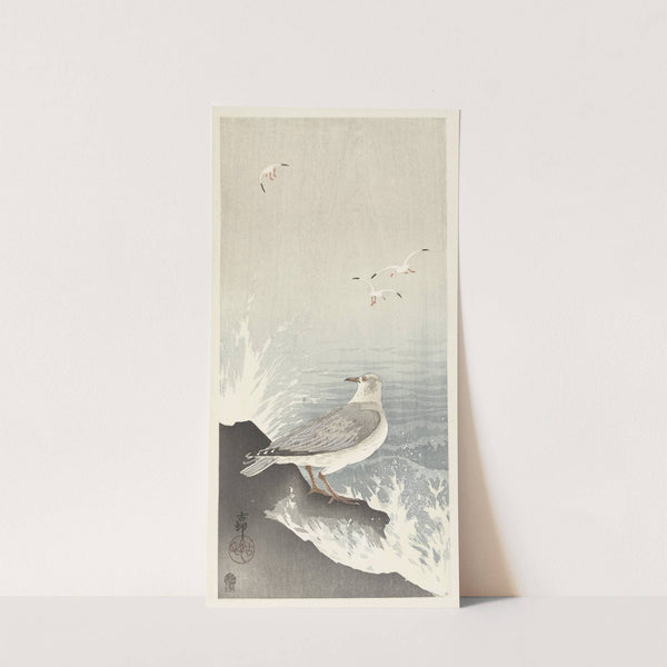 Seagull on rock (1900 - 1910) by Ohara Koson