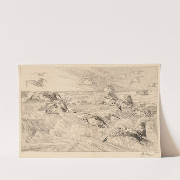 Seagulls (Les Mouettes) (c. 1882) by Félix Bracquemond
