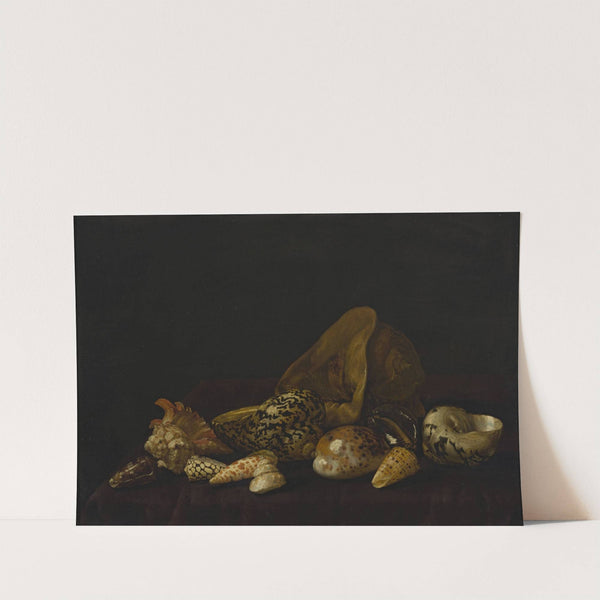 Seashells in a purple tapestry by Abraham Van Calraet