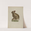 Seated Chalkware Rabbit by Andrew Topolosky