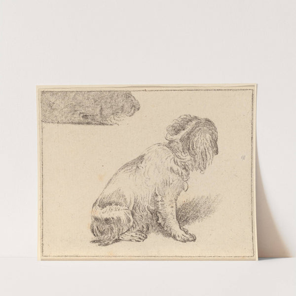 Seated Dog by Cornelis Ploos van Amstel