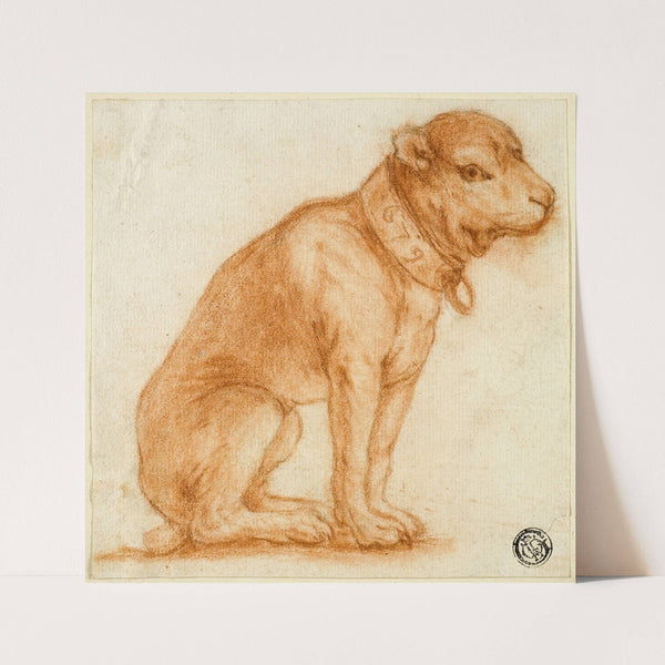 Seated Dog with Collar by Dirk Valkenburg