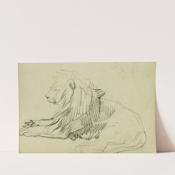 Seated lion by Théodore Géricault