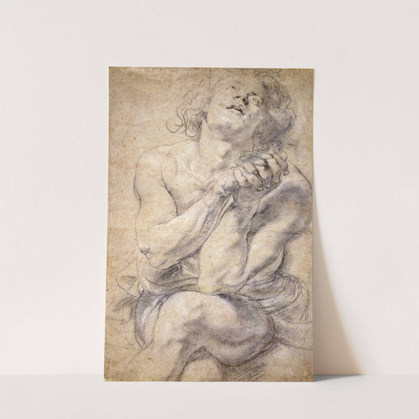 Seated Male Youth (Study for Daniel) by Peter Paul Rubens