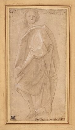 Seated Young Man