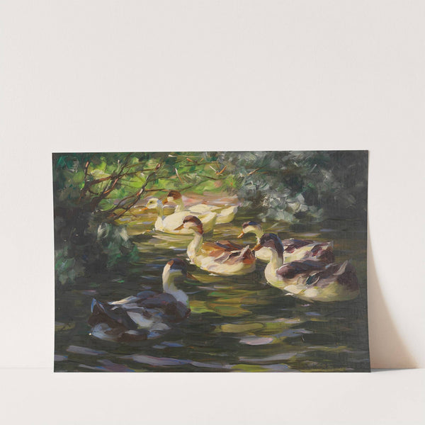 Sechs Enten auf dem Wasser unter Ufersträuchern (1905) by Alexander Koester