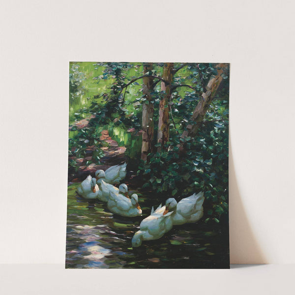 Sechs Enten im Wasser by Alexander Koester