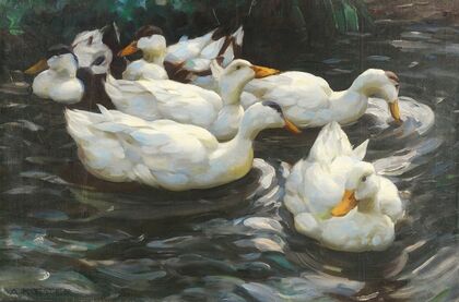 Sechs Enten im Wasser,