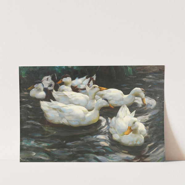 Sechs Enten im Wasser, (Ca. 1900-1905) by Alexander Koester