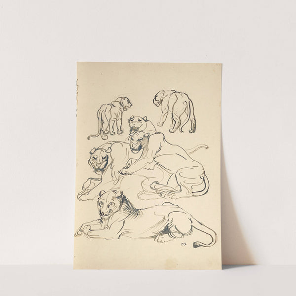 Sechs Pumas by Franz Barwig the Elder