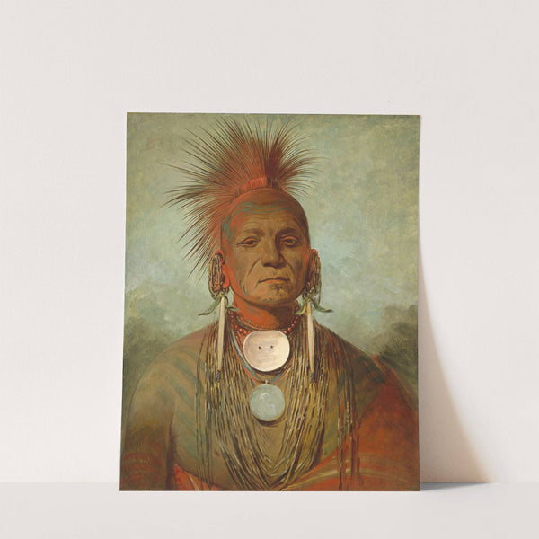 See-non-ty-a, an Iowa Medicine Man by George Catlin