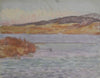 Seeufer