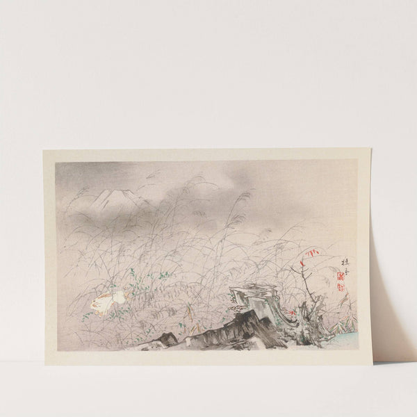 Seihō jūni Fuji, Pl.11 by Takeuchi Seihō