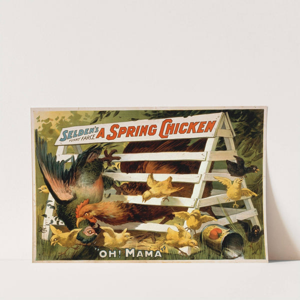 Selden's funny farce, A spring chicken by H.C. Miner Litho. Co.