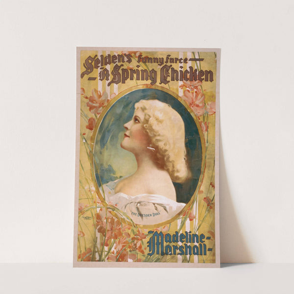 Selden's funny farce, A spring chicken by Anonymous