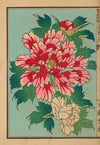 Senshokuhō: Shinhatsumei jitchi keiken Pl.01