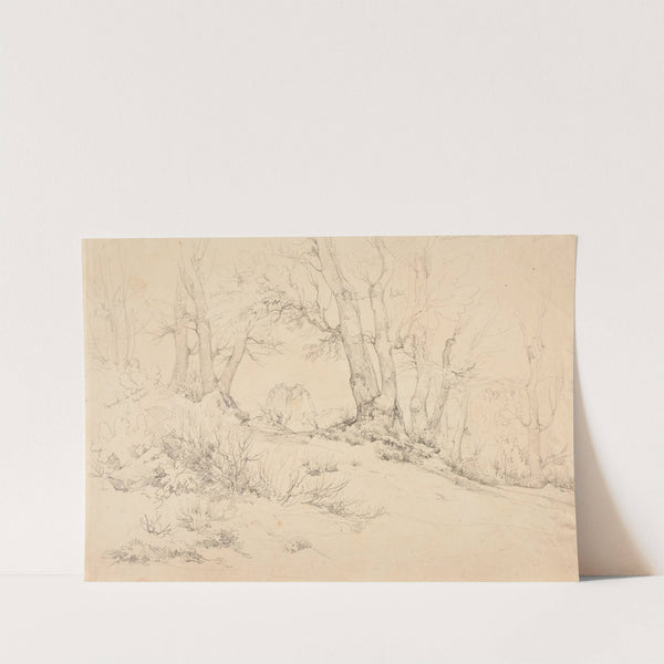 Sentier en forêt de montagne à Castellamare by Jacques-Raymond Brascassat