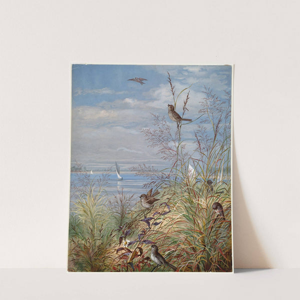 September by Fidelia Bridges