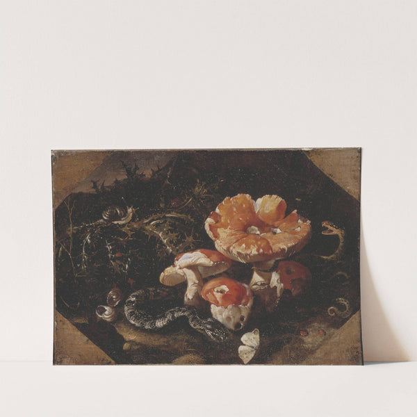 Serpents, Fly Agarics and Thistles by Paolo Porpora