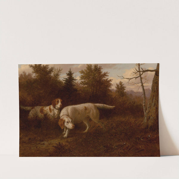 Setters and Quail by Thomas Hewes Hinckley