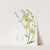 Sharp-leaved Spanish Broom (1815-1819) by Sydenham Edwards