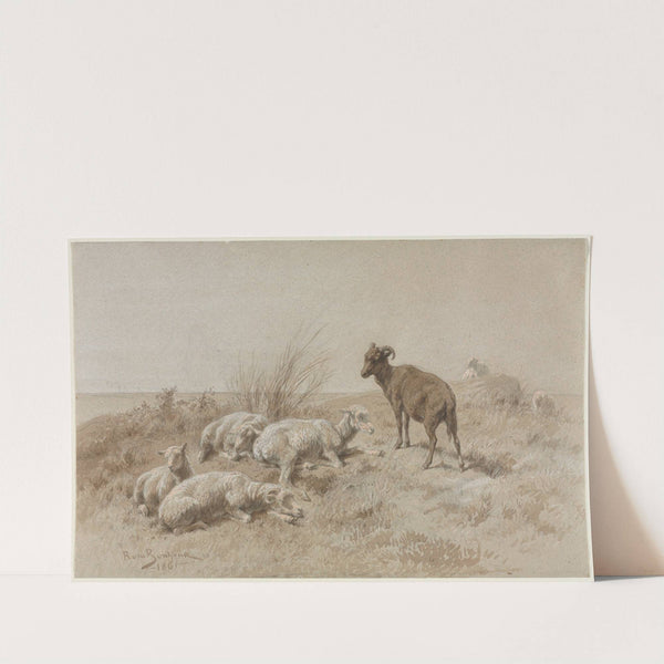 Sheep (1861) by Rosa Bonheur