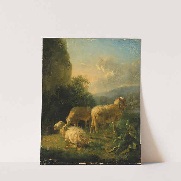 Sheep by Balthasar Paul Ommeganck