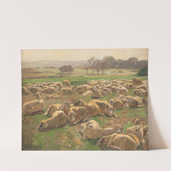 Sheep by Hugo Mühlig