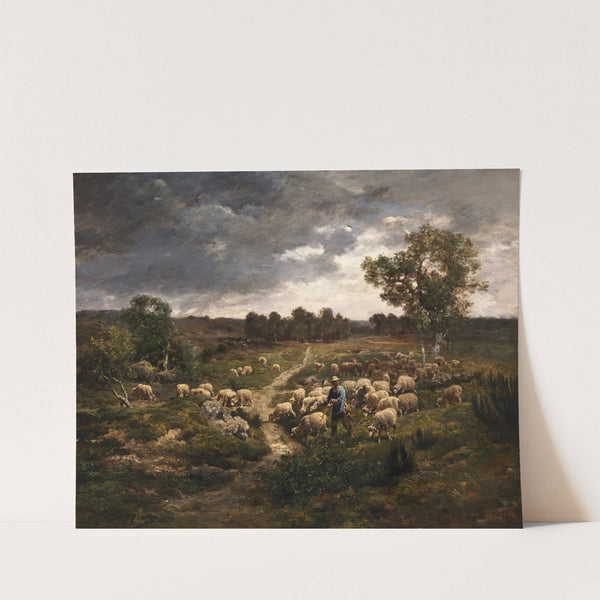 Sheep (1840-1894) by Charles Emile Jacque