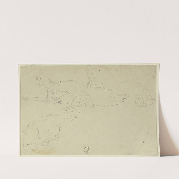 Sheep by Wilhelm Gentz