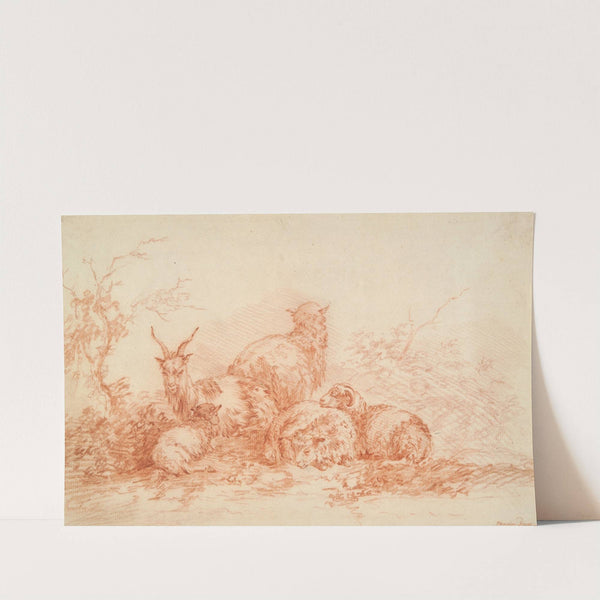 Sheep and Goat Resting by Simon van der Does