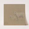 Sheep and lamb by Wilhelm Amandus Beer