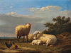 Sheep and poultry in pasture