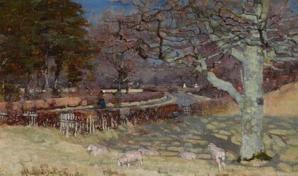Sheep by a sun dappled road