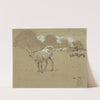 Sheep Grazing in a Field by Winslow Homer