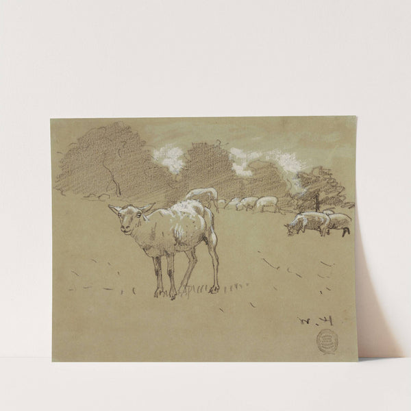 Sheep Grazing in a Field by Winslow Homer