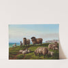Sheep grazing on a headland by Charles Jones