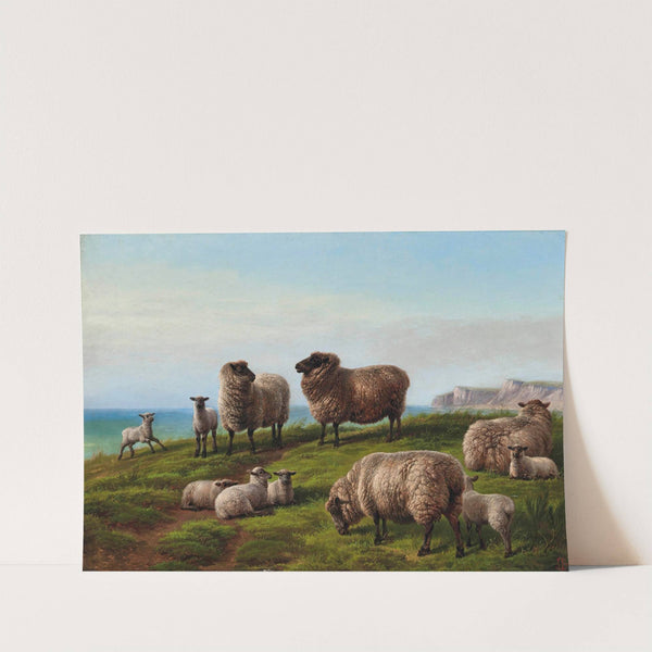 Sheep grazing on a headland by Charles Jones