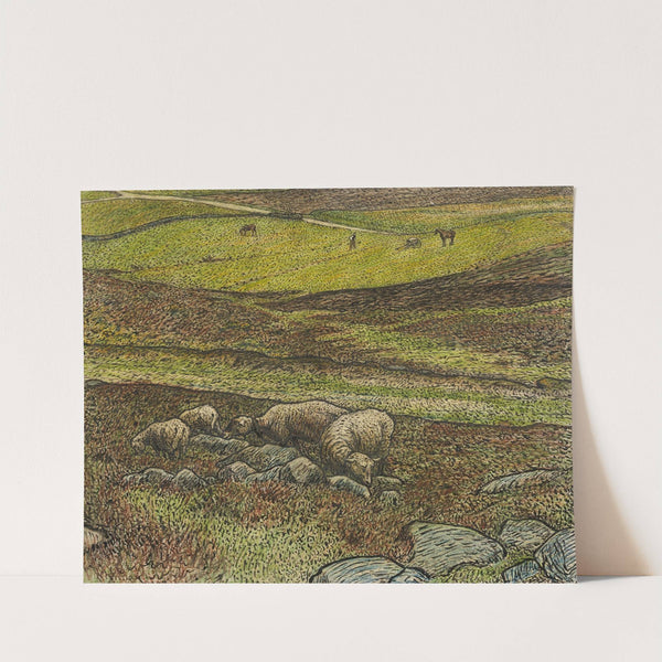 Sheep in a Dell by Nils Kreuger