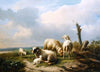 Sheep In A Landscape